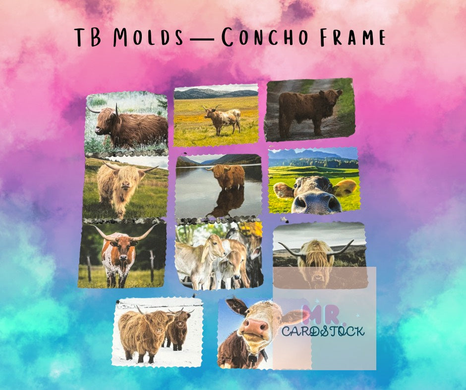 TB Molds Concho Frame